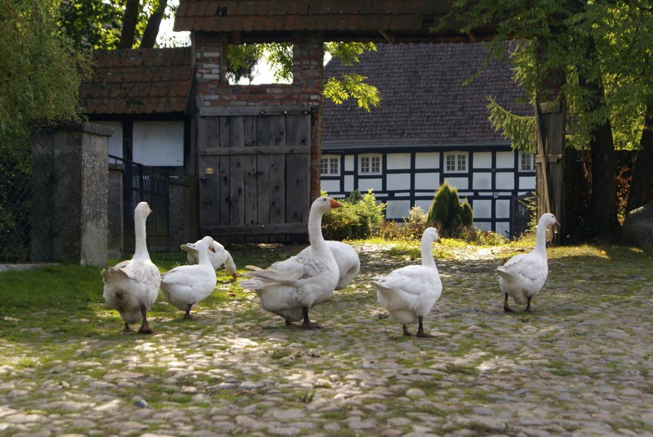 Hotel Przystan Tworcow à Słupsk Extérieur photo